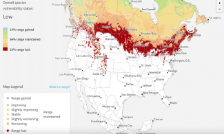 This possible range map shows where Common Loons could lose habitat with 2º Celsius warming. Map courtesy Audubon.