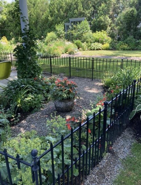 (Photo courtesy Belfast Garden Club)