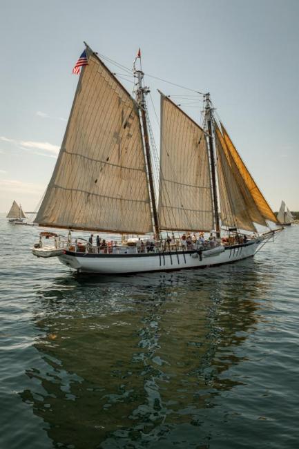The Harvey Gamage under sail during Windjammer Days. File photo