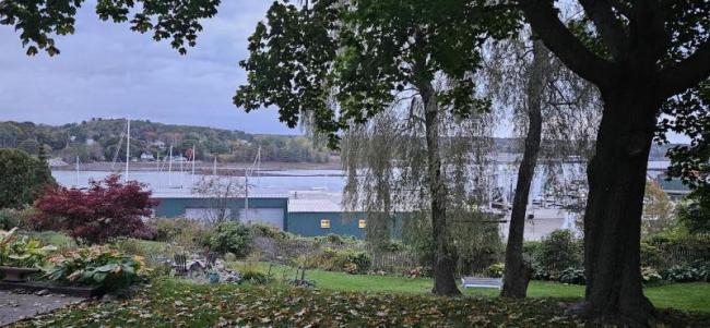 foreground garden space, harbor in background