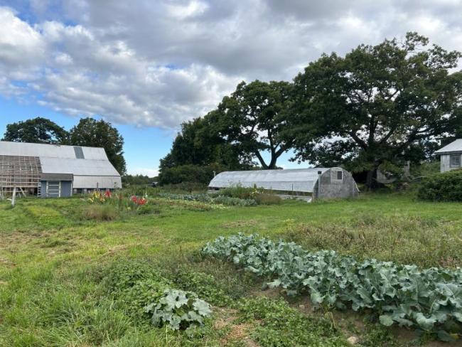 gardens at the farm