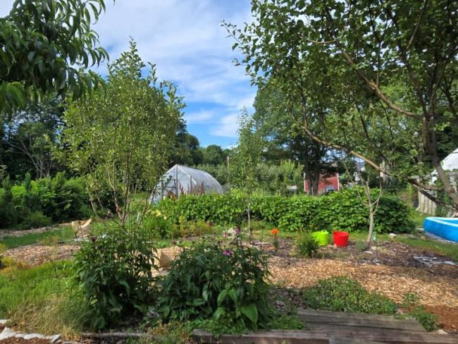 garden with greenhouse in background