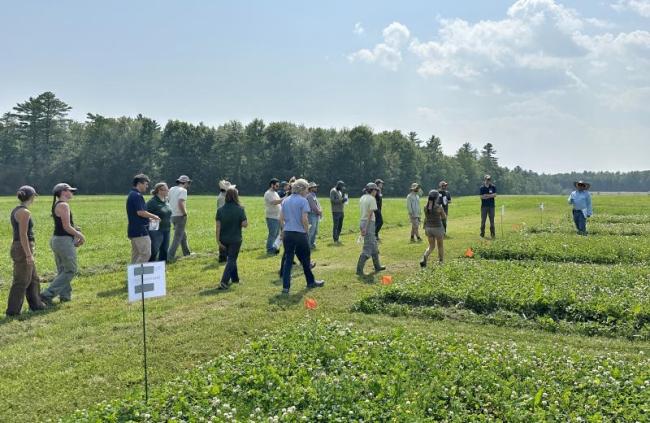 people walk through a field