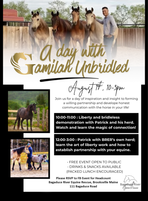 event poster