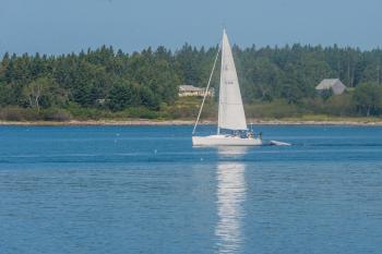 Sail Boat