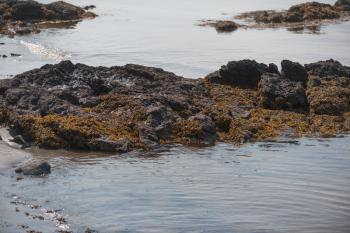 Drift Inn Beach at Port Clyde.