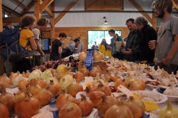 More onions!