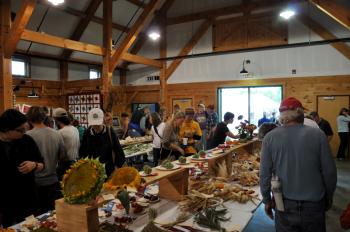 A harvest spread of agricultural produce.