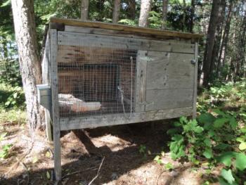 Free Bunny Hutch (Brownfield)