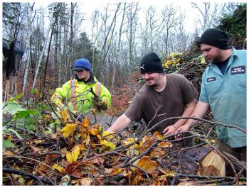 Breyton Thomas, Zach Maddocks and Aaron Seekins of Belfast Public Works unload fallen limbs at the transfer station's brush pile. Much of the pile is Christmas trees, though wreaths are discouraged and can be tossed with demolition waste for free. (Photo by Ethan Andrews)