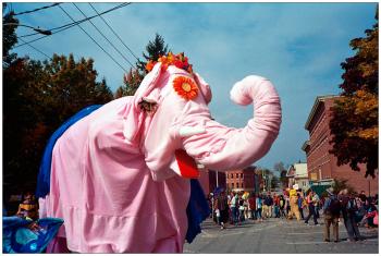 BELFAST – Bella, the pink elephant and centerpiece of the eccentric Church Street Festival parade.
