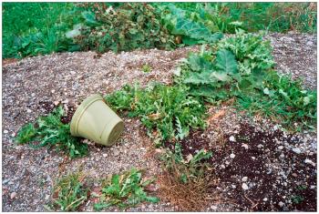 BROOKS – Plant-colored planter.