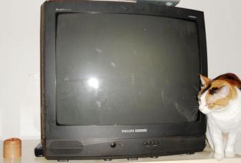 Free Philips Magnavox TV Black (Westbrook)
