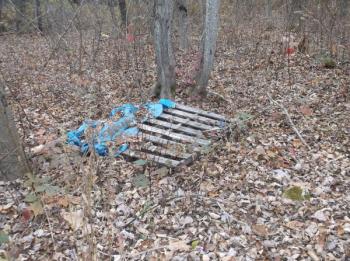Pallets (Lincolnville)