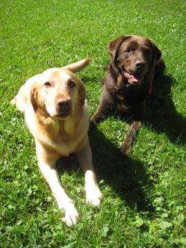 Opie and Griffin.