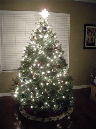 Christmas trees (South Portland)