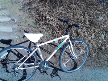 curb alert! trek bike, file cabinet, wooden table (Kittery)