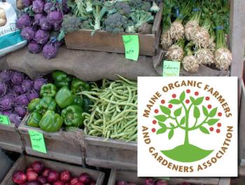 There are three weekly farmers' markets operating this winter in Knox and Waldo counties, in the towns of Rockport, Washington and Lincolnville. (Photo courtesy MOFGA.org)