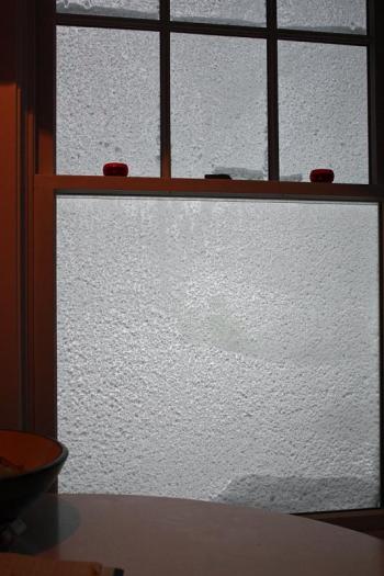 This is what wind-driven snow looks like, from the inside. (Photo by Holly S. Edwards)