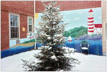 BELFAST - A Christmas tree in the courtyard of the Waldo County District Courthouse. BELFAST - A Christmas tree in the courtyard of Waldo County District Court. (Photo by Ethan Andrews)