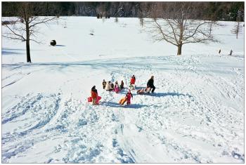 NORTHPORT - Sledders at the Northport Golf Club disperse after converging on a boy who had the wind knocked out of him after going over a small jump. NORTHPORT - Sledders at the Northport Golf Club disperse after converging on a boy who had the wind knocked out of him after going over a small jump. (Photo by Ethan Andrews)