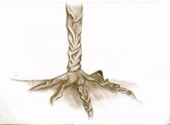 A drawing of a tree. (Courtesy Jalina Brown)