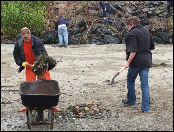 Wheelbarrows, rakes and shovels were used to groom the beach after the trash was removed.
