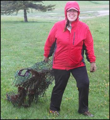 Vanessa Richards drags a lobster trap she found on the beach. 