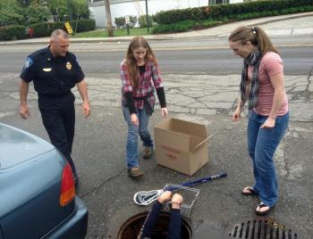 A duckling is brought up from underground in Camden Friday afternoon. (Courtesy Steve Pixley)