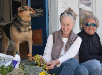 Lucy, Terri Harper and Richard Podolsky wait in Rockport Village for the parade to start. Terri plants the windowboxes in front of Ralston Gallery while Lucy looks for squirrels.. (Photo by Lynda Clancy)