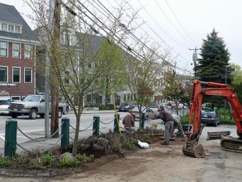 A Hoboken Gardens crew plants one of three Golden Raindrops crabapple trees along Mechanic Street in Camden as part of the town's 2013 Shade Tree Program. (Photo by Dale Bruce)