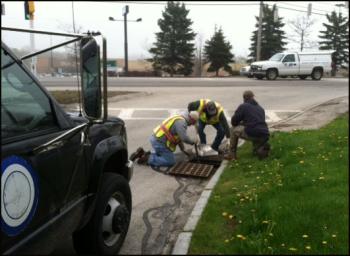 Rockland Public Works employees Dave Elwell and Nate Borst and Greg Bucklin, of Belfast, work fast to get ducklings out of the sewer and back into the care of their mother. (Photo courtesy of Kelli Bucklin)