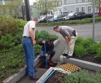 From left, Maine Marine Patrol Sgt. Marlowe Sonksen, Camden Parks and Recreation Grounds Crewman Tom Beauregard and Camden Police Detective Curt Andrick look for six ducklings that reportedly fell through a storm drain cover outside the police station Friday afternoon. (Courtesy Steve Pixley)