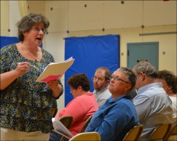 Budget Committee Chairman Jill Lang explains that additional money had surfaced in the town's cemetery account. (Photo by Lynda Clancy)