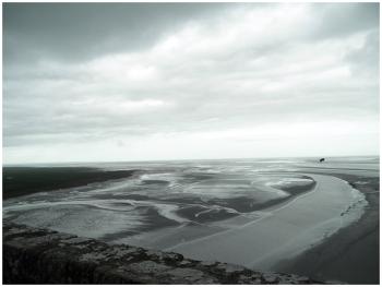 "An infinite monotone carpet." (Photo by Ari Snider)