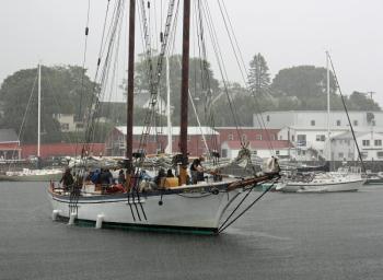 Schooner Appledore makes the turn at the head of the harbor, bound for its berth in front of Graffam's Restaurant. (Photo by Holly S. Edwards)