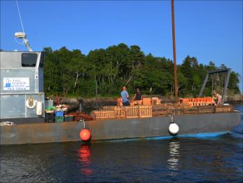 Fireworks on the barge. (Photo by Lynda Clancy)