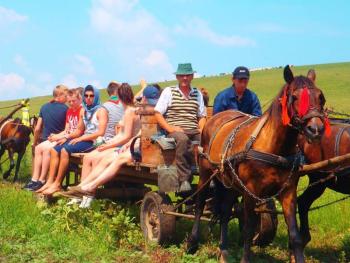 We load onto three carts, legs dangling over the edges, and roll into the surrounding fields. (Photo by Ari Snider)
