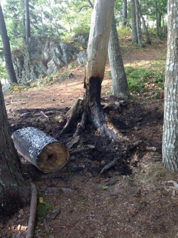 On the Lily Pond trail, a camp fire had been burning for several days, unattended. (Photo courtesy Rockport Fire Department)