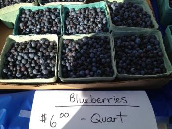 Fresh blueberries for sale at the wingding.