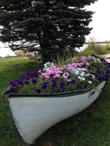 Members of the Lincolnville Improvement Association keep flowers blooming in this boat at the beach.