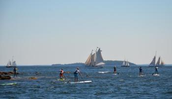 The first annual Lobster SUP Cup sent 30 stand-up paddle boarders from Rockport to Belfast on a beautiful August weekend. (Photo by Lynda Clancy)