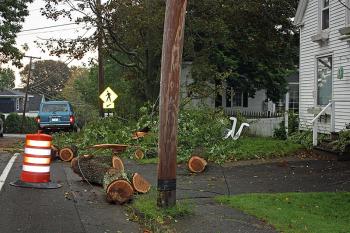 Washington Street in Camden. (Photo by Holly S. Edwards)