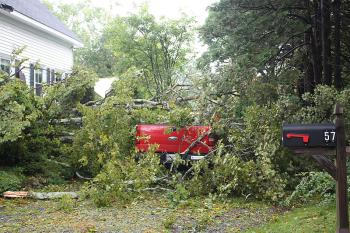 Camden sustained a lot of downed trees and wires, but damage was to property, not people. (Photo by Holly S. Edwards)