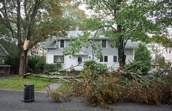 A downed tree limb on Norwood Avenue in Camden. (Photo by Holly S. Edwards)