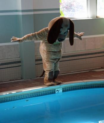 No diving in the Camden Riverhouse Hotel pool, Petey! (Photo by Holly S. Edwards)