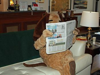 Checking for specials in the local shopper, The Free Press. (Photo by Holly S. Edwards)