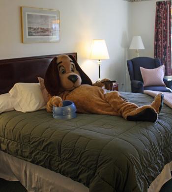 Like many lodging establishments in Camden, the Riverhouse is pet friendly. (Photo by Holly S. Edwards)