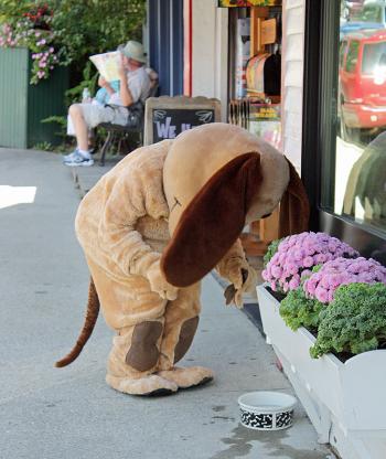Time for a drink. (Photo by Holly S. Edwards)