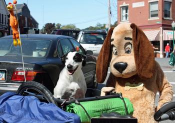 And Bixby too! (Photo by Holly S. Edwards)